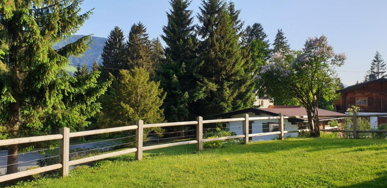 Ferienwohnung Sappl Scheffau am Wilden Kaiser Ngoại thất bức ảnh